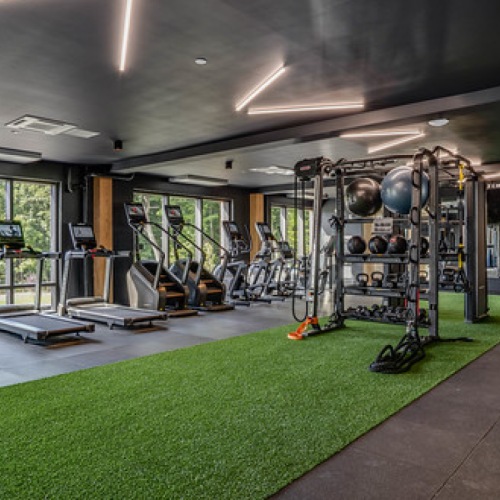 Fitness 1