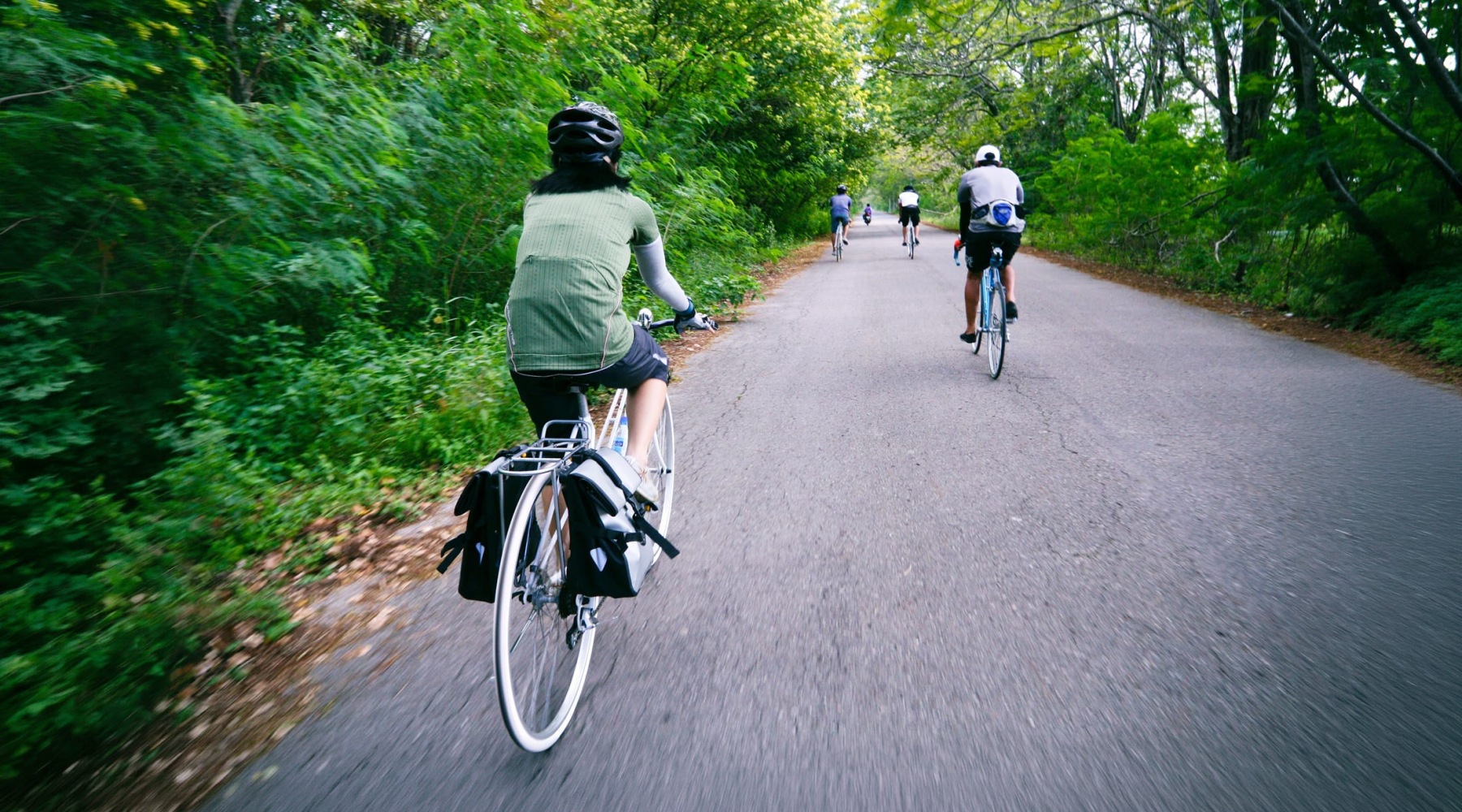 people riding their bicycles through a forrest heavy area